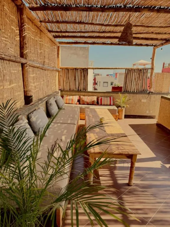 Rooftop terrace with lounge seating, palm and reed roof at NAVA in Tamraght